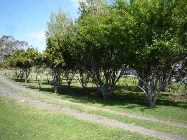 Villa Blue House Awanui Exterior foto
